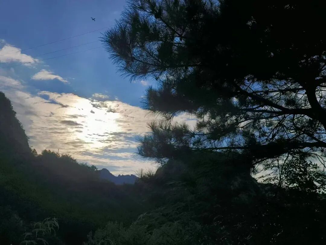 只为攀登攀岩运动体验 - 封面图