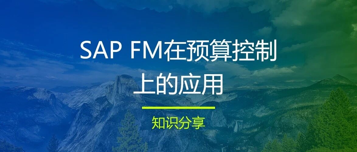 SAPFM 在预算控制上的应用 - 封面图