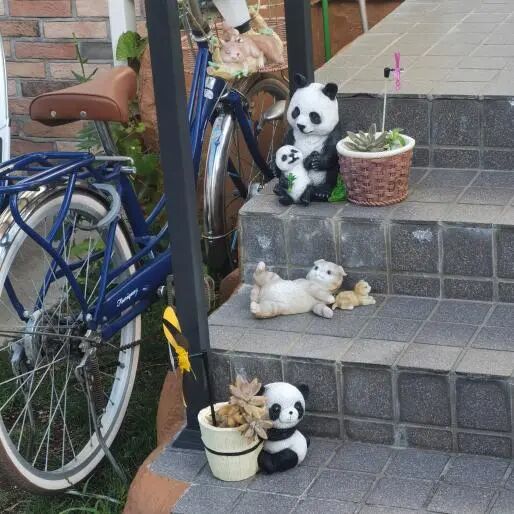 福冈生活大揭秘 - 封面图