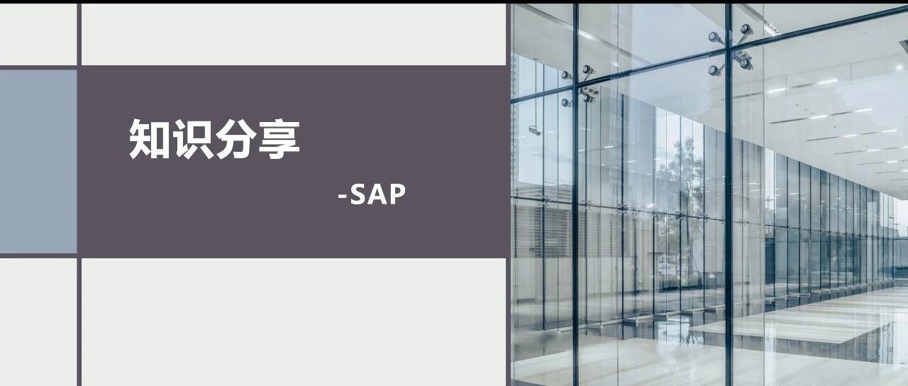 SAPEWM 系统标准简单图形框架的应用 - 封面图