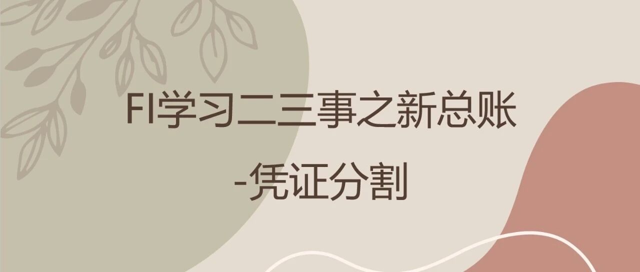 FI 学习二三事之新总账凭证分割 - 封面图