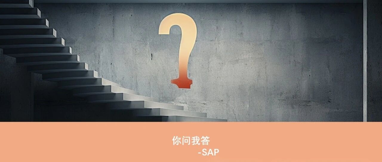 SAP 数据快速查询工具介绍 - 封面图
