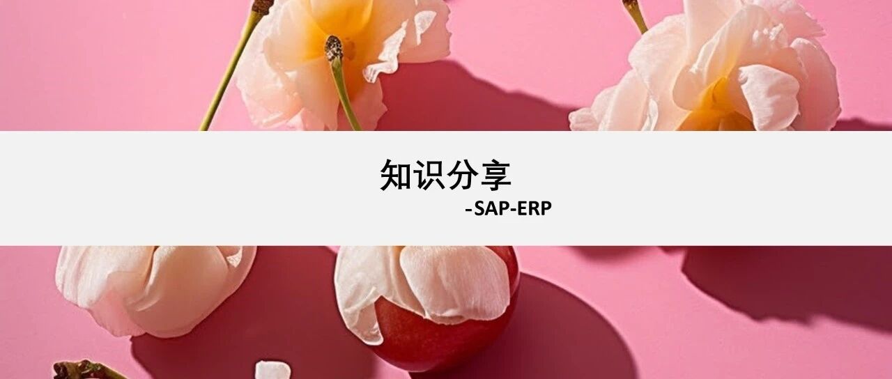 能源行业多业态岗位角色权限设计 - 封面图