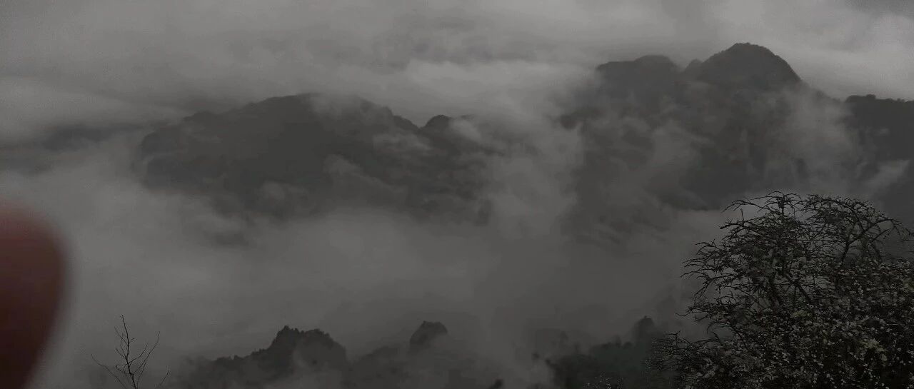 峨眉山雾中山间的旷野漫游 - 封面图