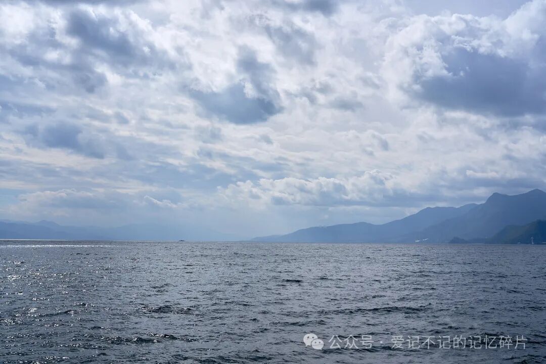 在有风的地方 - 封面图