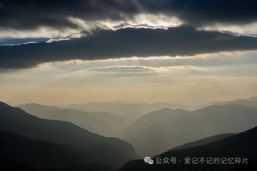 在有风的地方 - 封面图