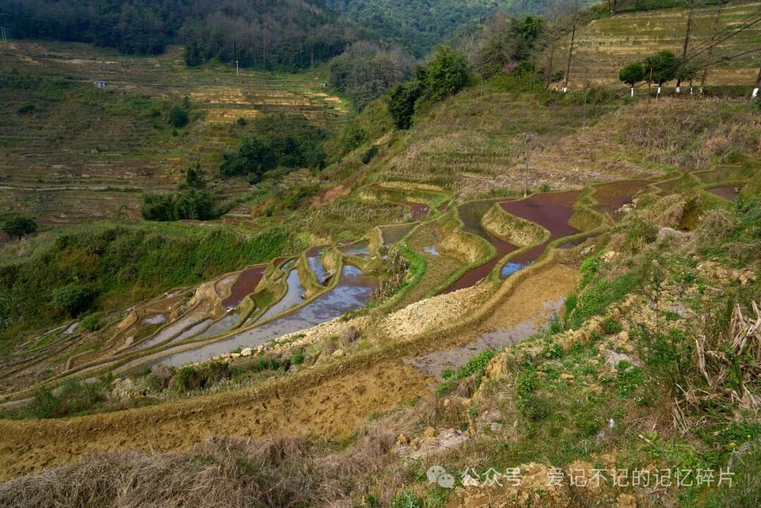在有风的地方 - 封面图