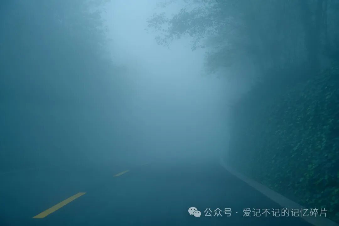 在有风的地方 - 封面图