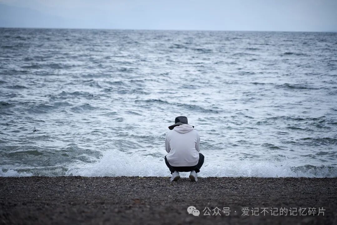 在有风的地方 - 封面图