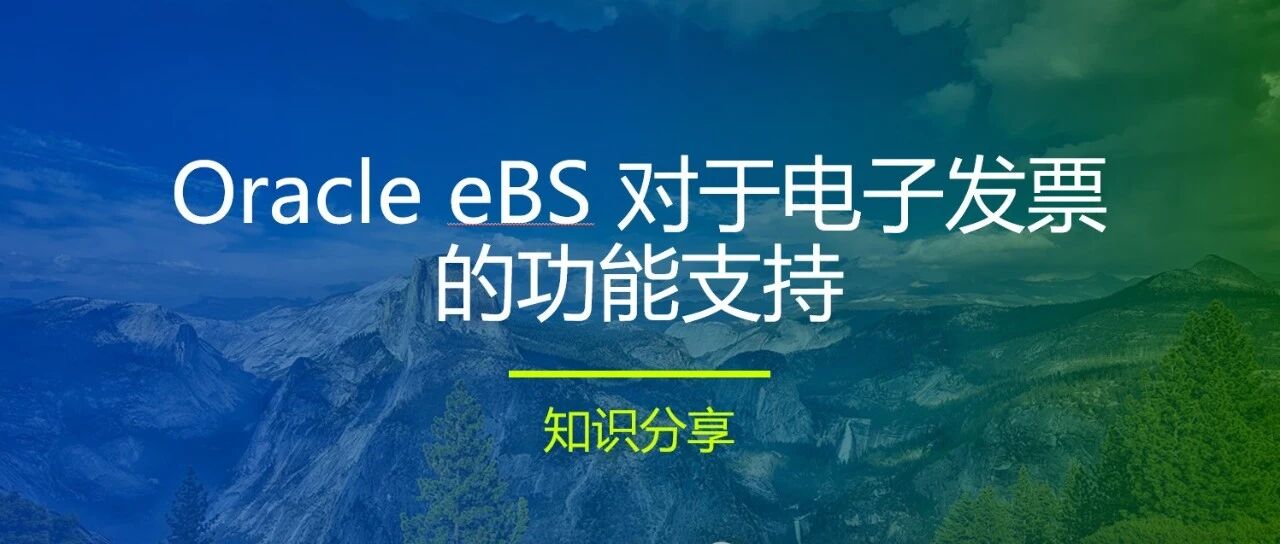 Oraclee BS 对于电子发票的功能支持 - 封面图