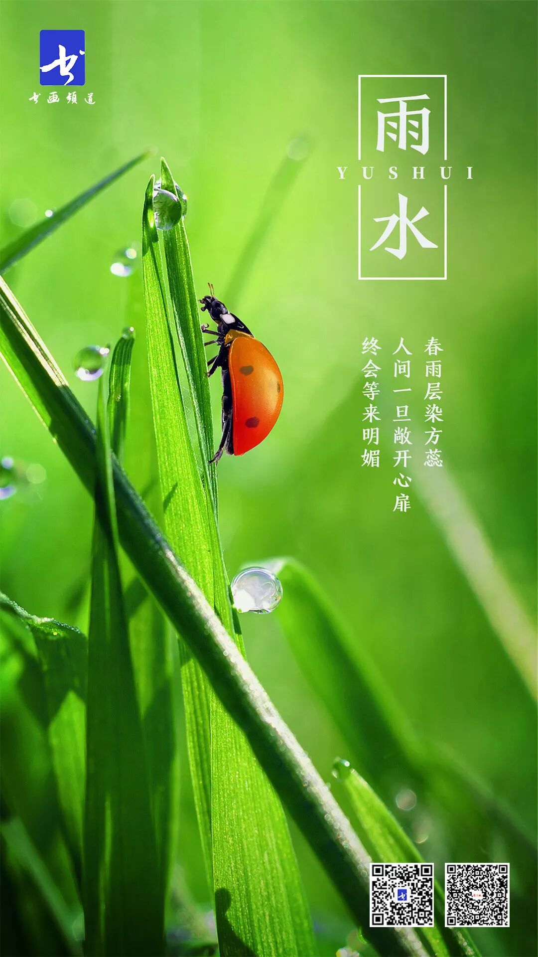 水墨节气丨今日雨水,一路向春_春雨_时节_草木