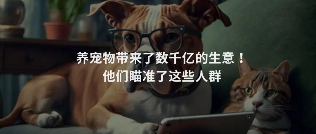 「精致露营」经济要来了，曝光甲辰龙年最赚的4大品类！