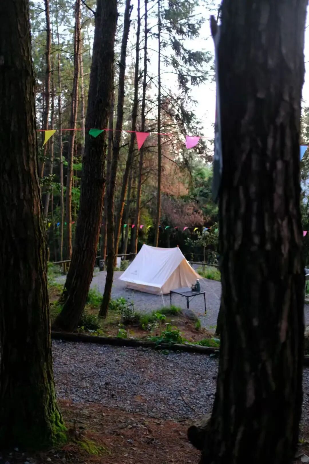 清凉大巴山 | 避暑上新，来四川大竹云顶山庄露营+打卡爆款云顶咖啡(图3)