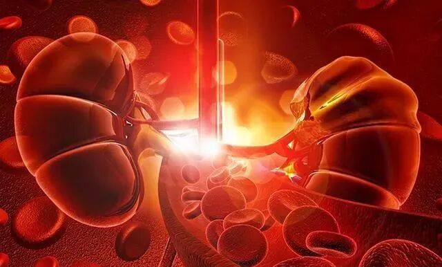 服用他汀类药物的注意事项