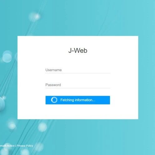 Example Image
