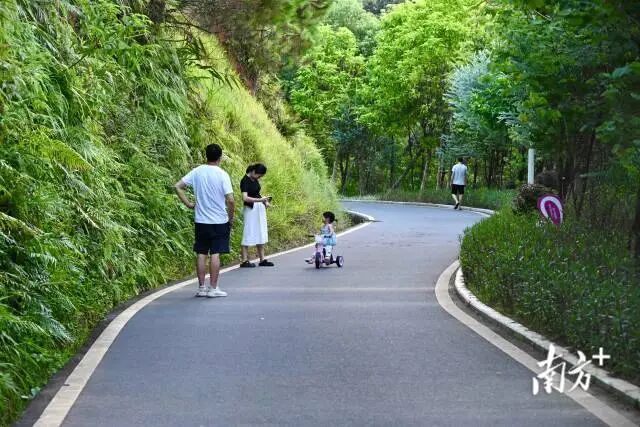 九里湖绿美点利用区位优势、文化底蕴及森林资源，发展为多功能综合性景点。