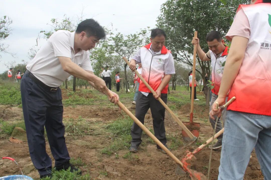 河源市举行2024年"互联网 义务植树"(森林抚育)活动