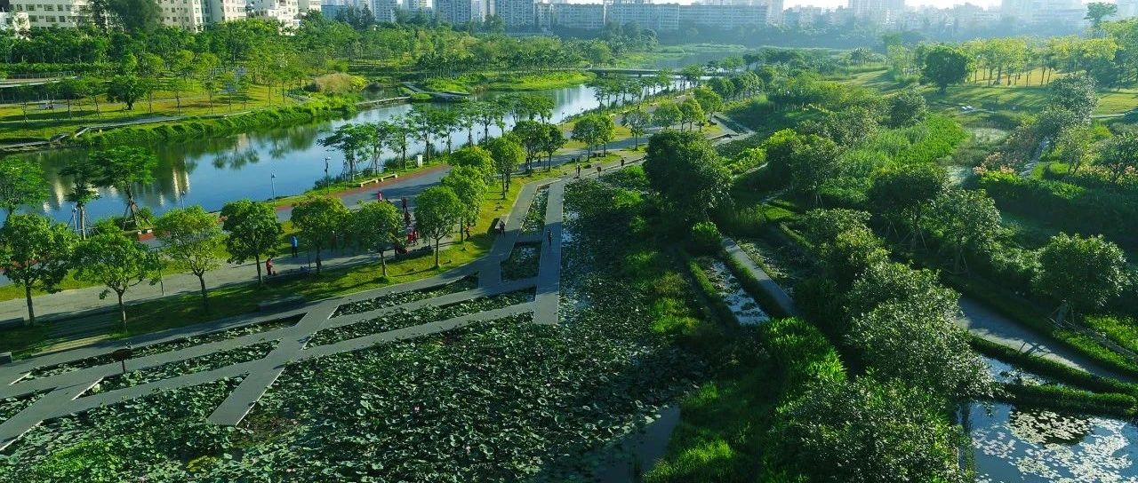 cover_image