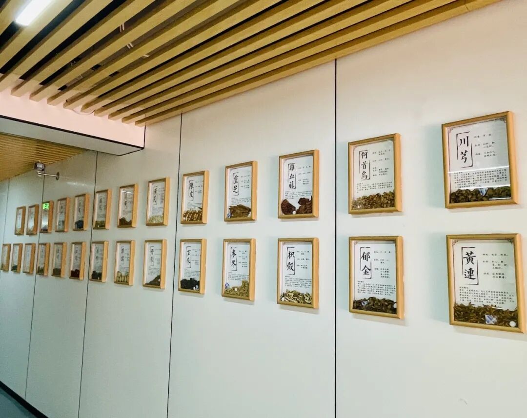 疼痛科怎么理疗重磅！我院中医疼痛科全方位新升级，专家免费义诊，超多福利等你来~_https://www.jmylbn.com_新闻资讯_第14张