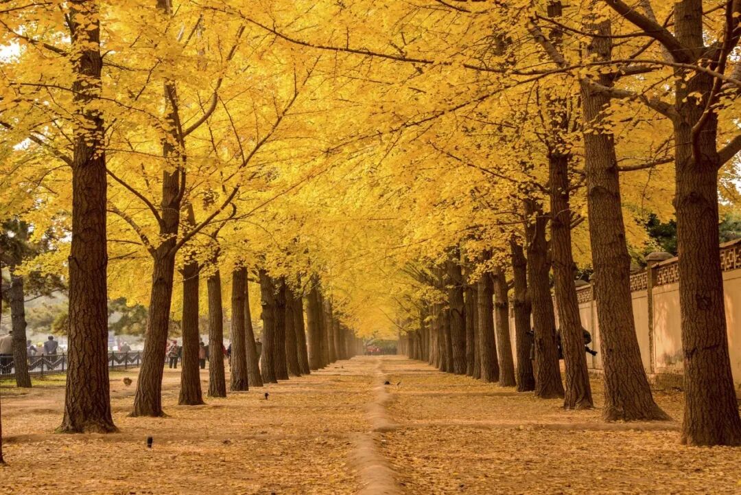 北京希尔顿2晚1117元含早全程不加价 有效期至27年3月