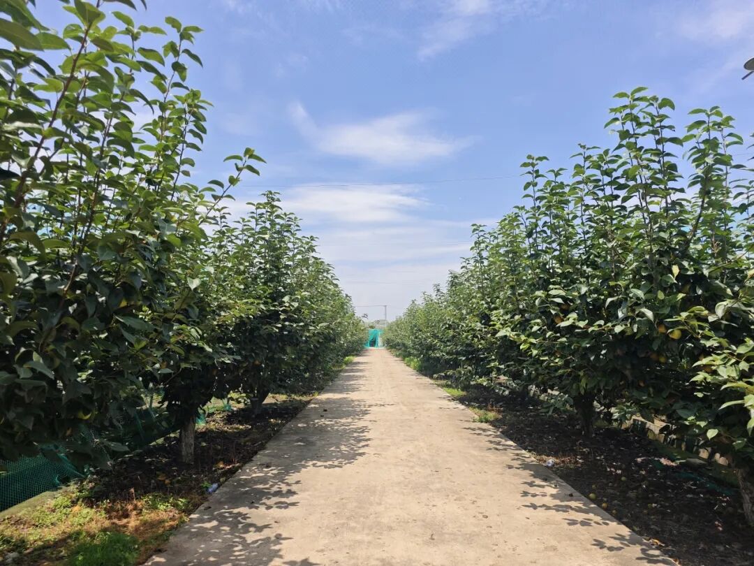 621a121914e4ab3e3c2e17610d026a6a.jpg