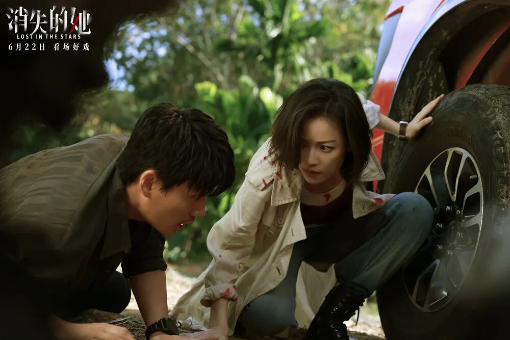 解析消失妻子剧情电影_电视剧消失的妻子剧情_消失的妻子剧情解析