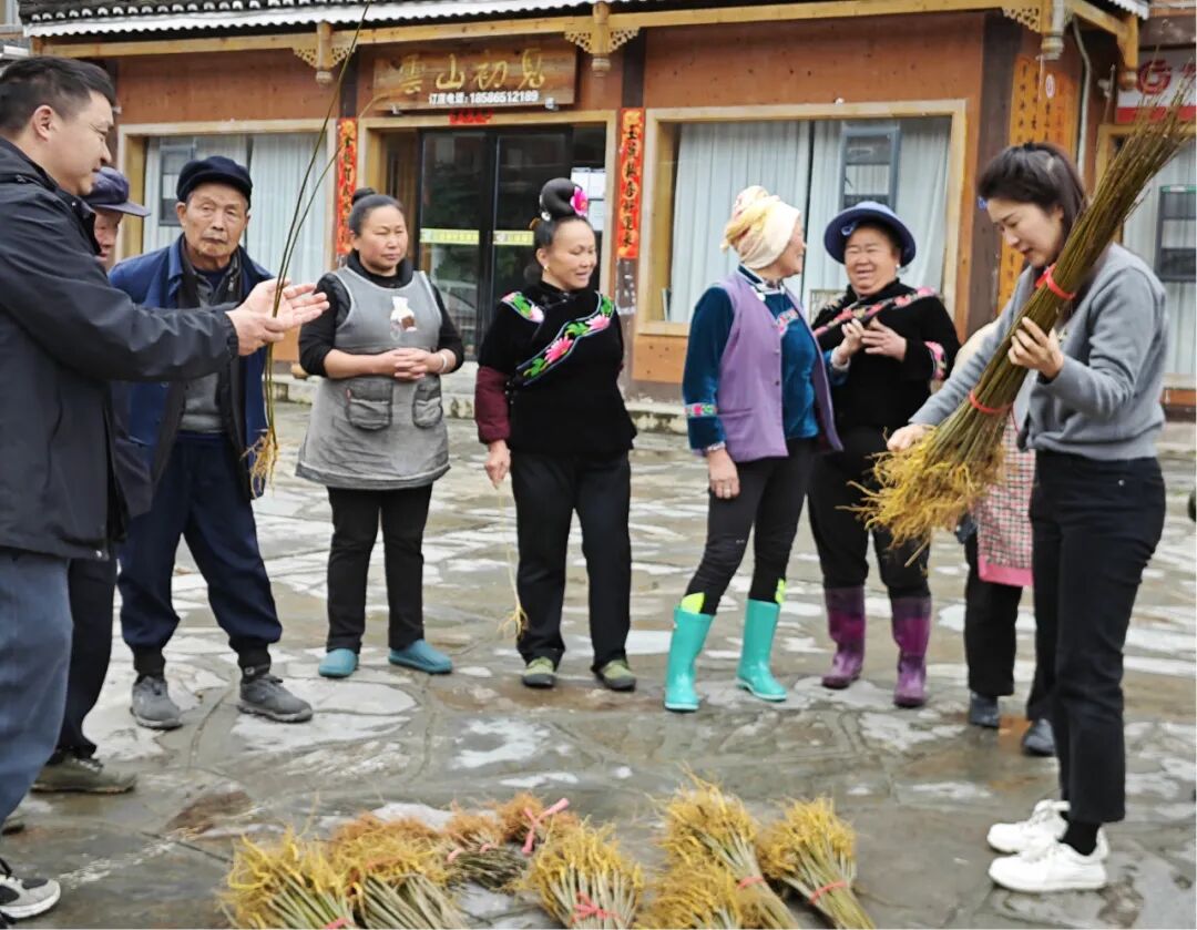 而黄柏则具有很高的药用价值,去年我家卖一次黄柏皮就获得了1000多块