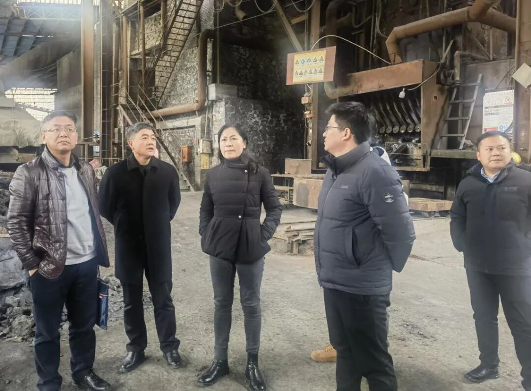 省生态环境厅副厅长陈莉一行到榕江县督导生态环境安全工作