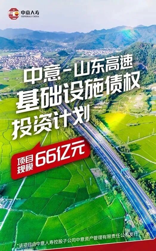 中意人寿投资项目