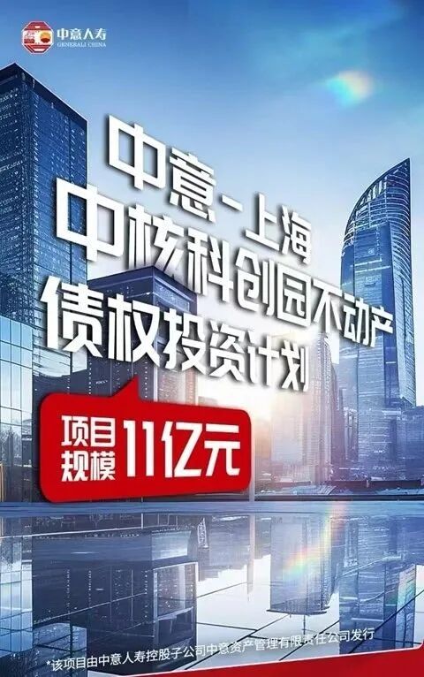 中意人寿投资项目