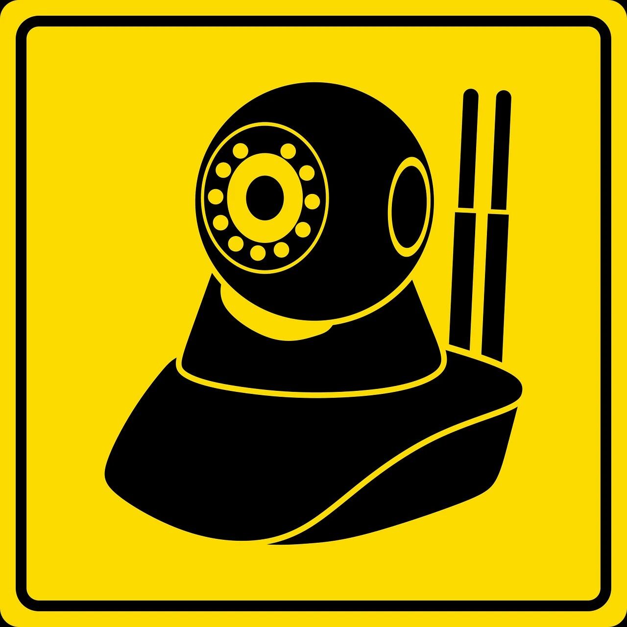 Example Image