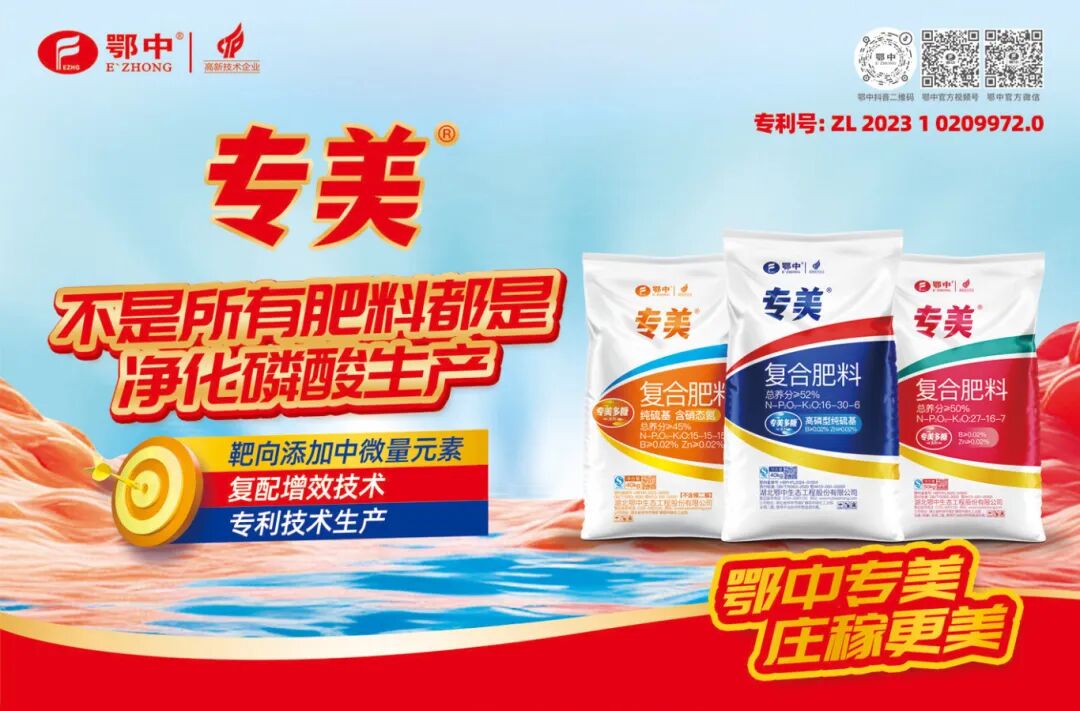 专美1.jpg
