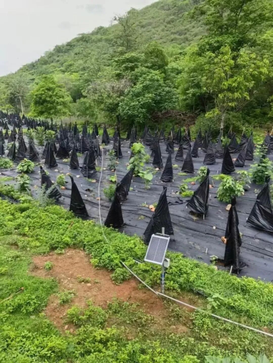 凍土監(jiān)測方案丨深孔地溫監(jiān)測系統(tǒng)