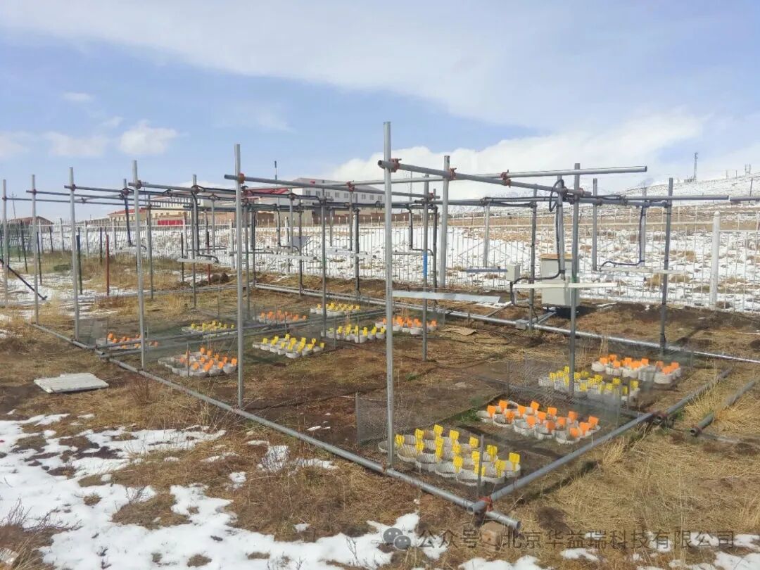 ؽŶӽظԭֲﲻͬȺԼڷǶԳµӦ