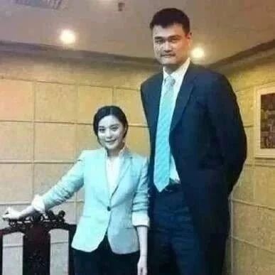 姚明跟14个明星合影照片,最后一张太好笑了!