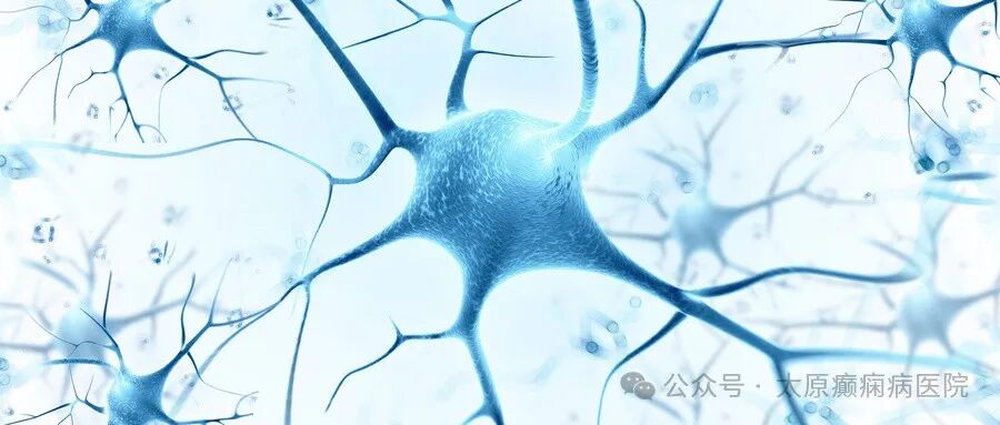 动态脑电图怎么看动态脑电图能查什么？你都知道吗？_https://www.jmylbn.com_新闻资讯_第8张