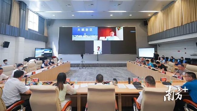 布氏鲸逗留深圳海域的第9天~(图5) 布氏鲸逗留深圳海域的第9天~(图5)