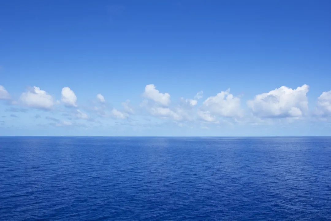 布氏鲸逗留深圳海域的第9天~(图6) 布氏鲸逗留深圳海域的第9天~(图6)