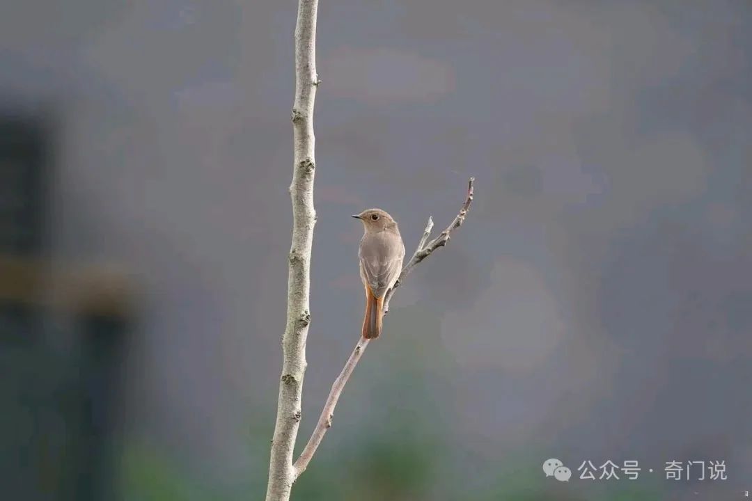 突然理解好朋友跟朋友的区别