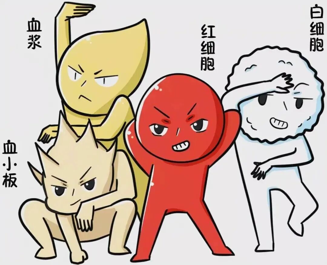 什么是辐照血健康科普丨辐照血，有“辐”，还是无“辐”_https://www.jmylbn.com_新闻资讯_第6张