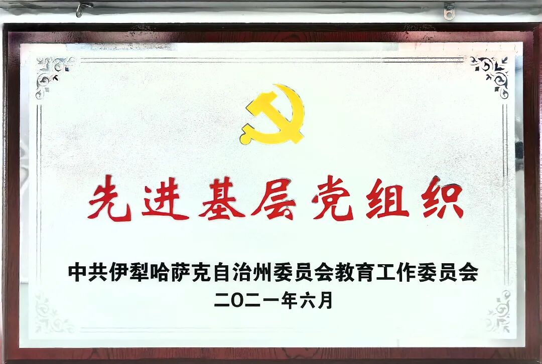 6.先进基层党组织奖牌.jpg