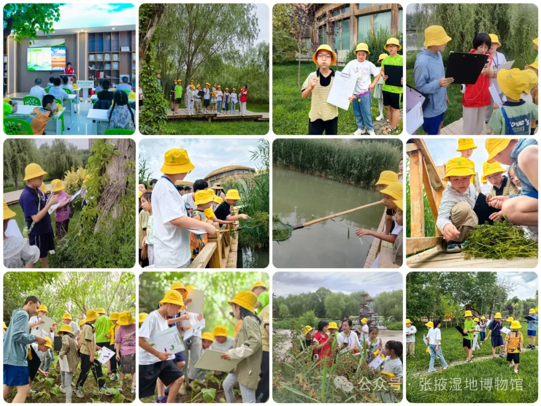 图片 图片