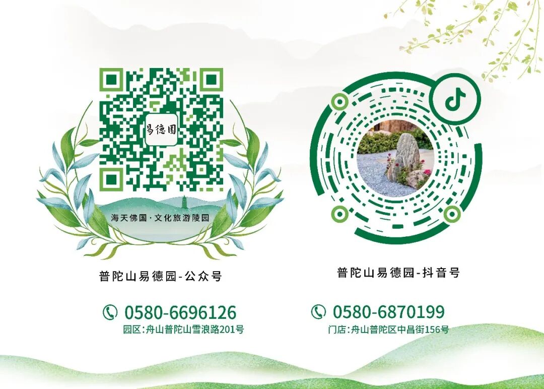 重磅消息！普陀山寺院终于开放了！(图14)