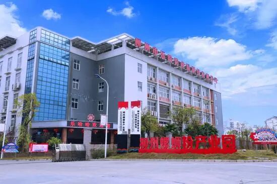 2023年,位于鱼峰区的柳州螺蛳粉产业园袋装螺蛳粉日产销突破400万袋