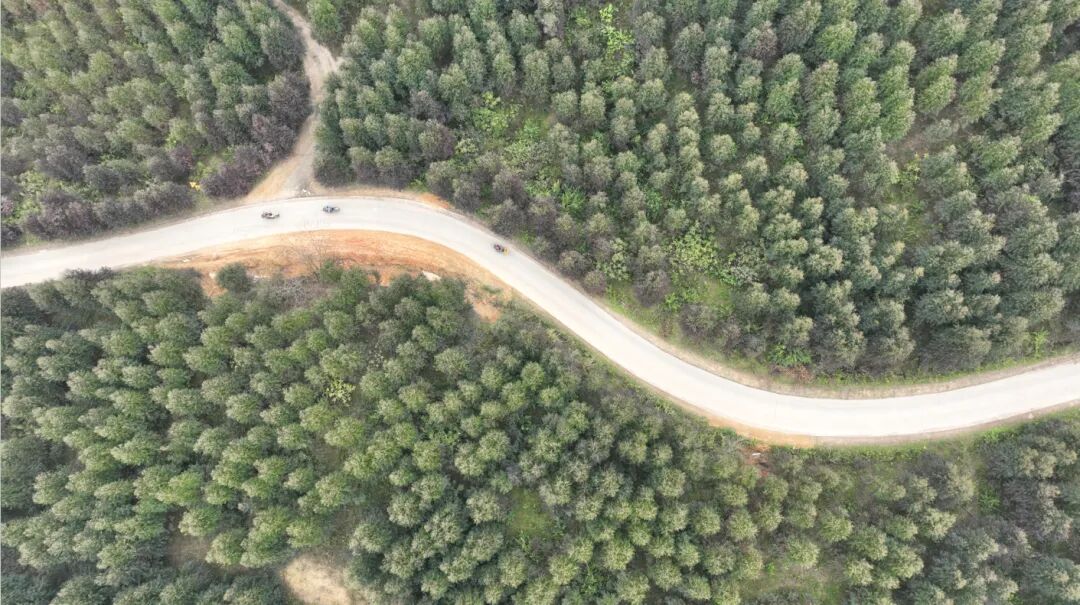 石小松督导调研田长制,林长制,河长制工作 - 鱼峰动态 - 广西柳州市