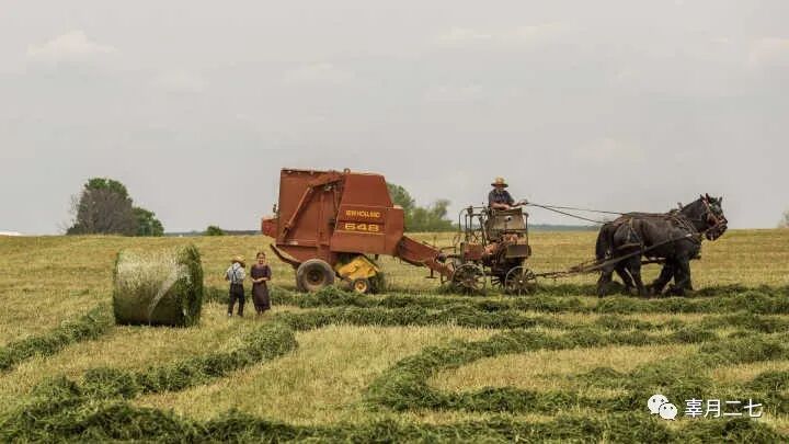 电脑屏幕上图标变大了怎么恢复_电脑屏幕变花怎么恢复_电脑图标消失了怎么恢复