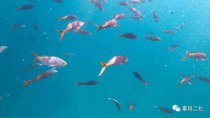 电脑屏幕变花怎么恢复_电脑图标消失了怎么恢复_电脑屏幕上图标变大了怎么恢复