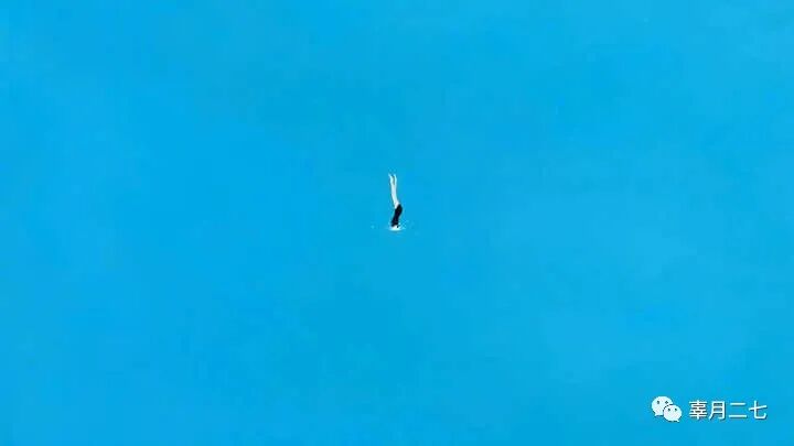 电脑屏幕变花怎么恢复_电脑图标消失了怎么恢复_电脑屏幕上图标变大了怎么恢复