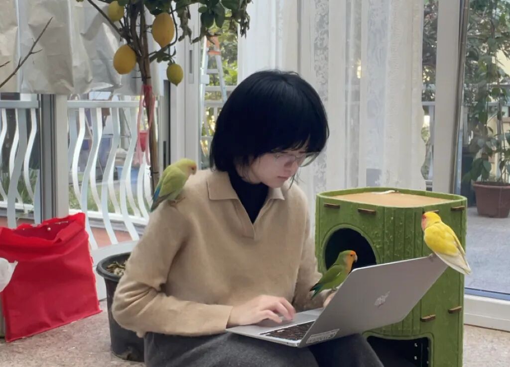 图片