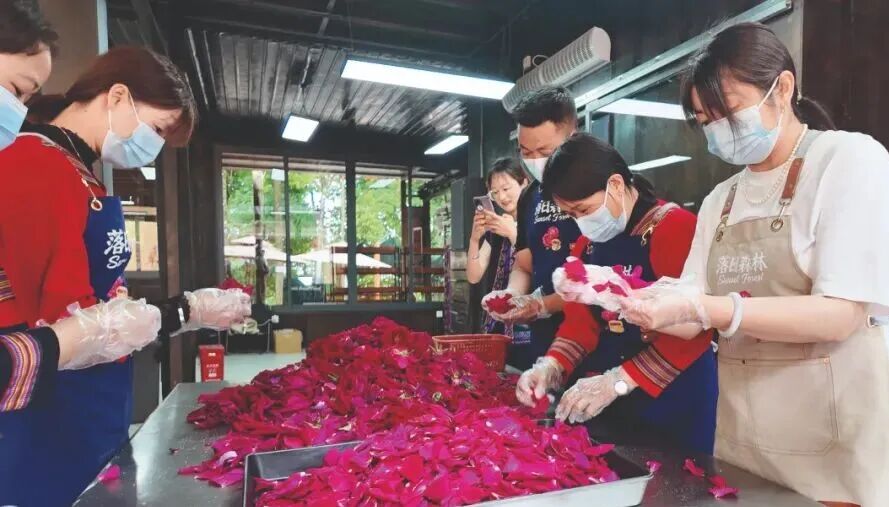 乡村振兴总抓手和美乡村建设_和美乡村与乡村振兴_